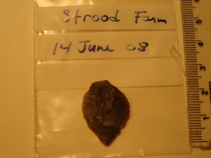 leaf-shaped arrow head